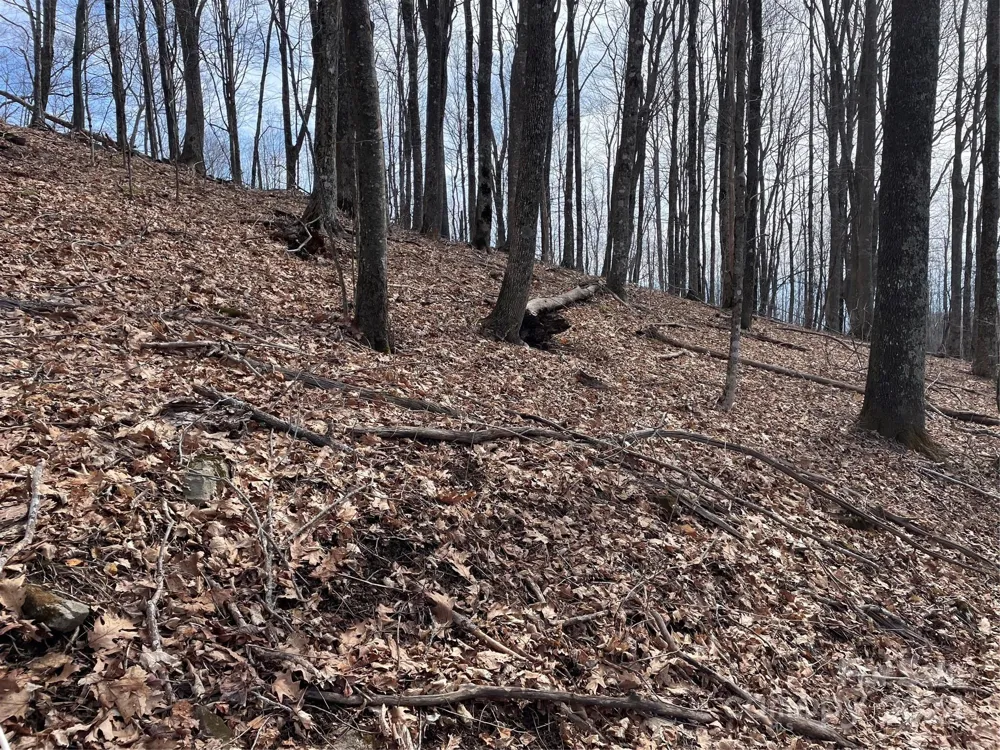 000 El Miner Drive #464 Mars Hill, NC 28754