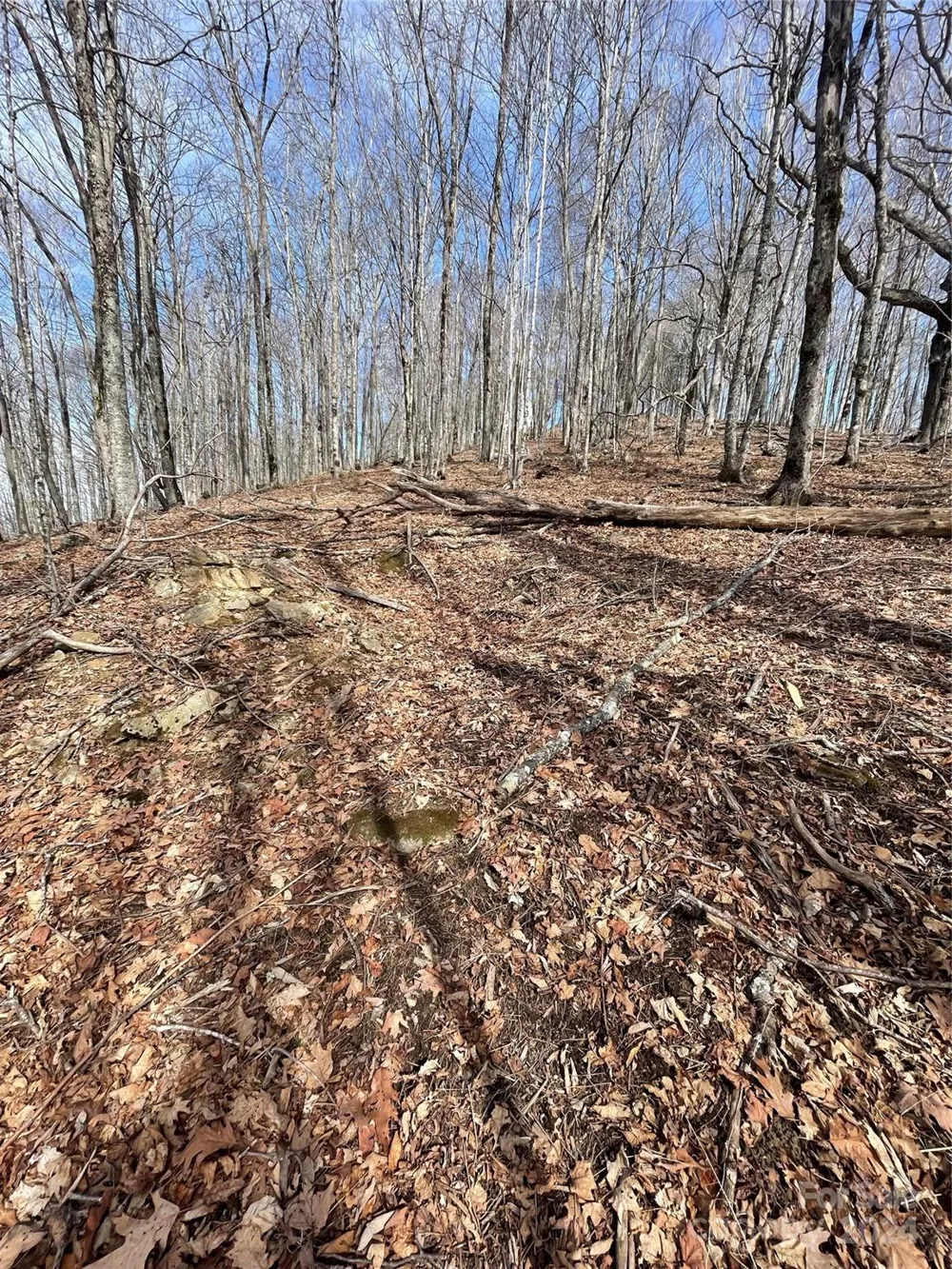 000 El Miner Drive #464 Mars Hill, NC 28754