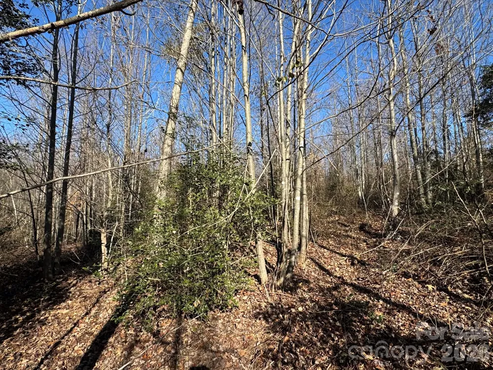 002 Rock Creek Church Road North Wilkesboro, NC 28659