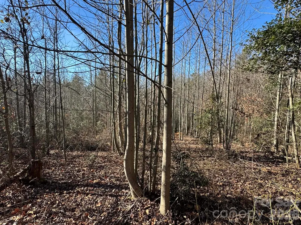 002 Rock Creek Church Road North Wilkesboro, NC 28659