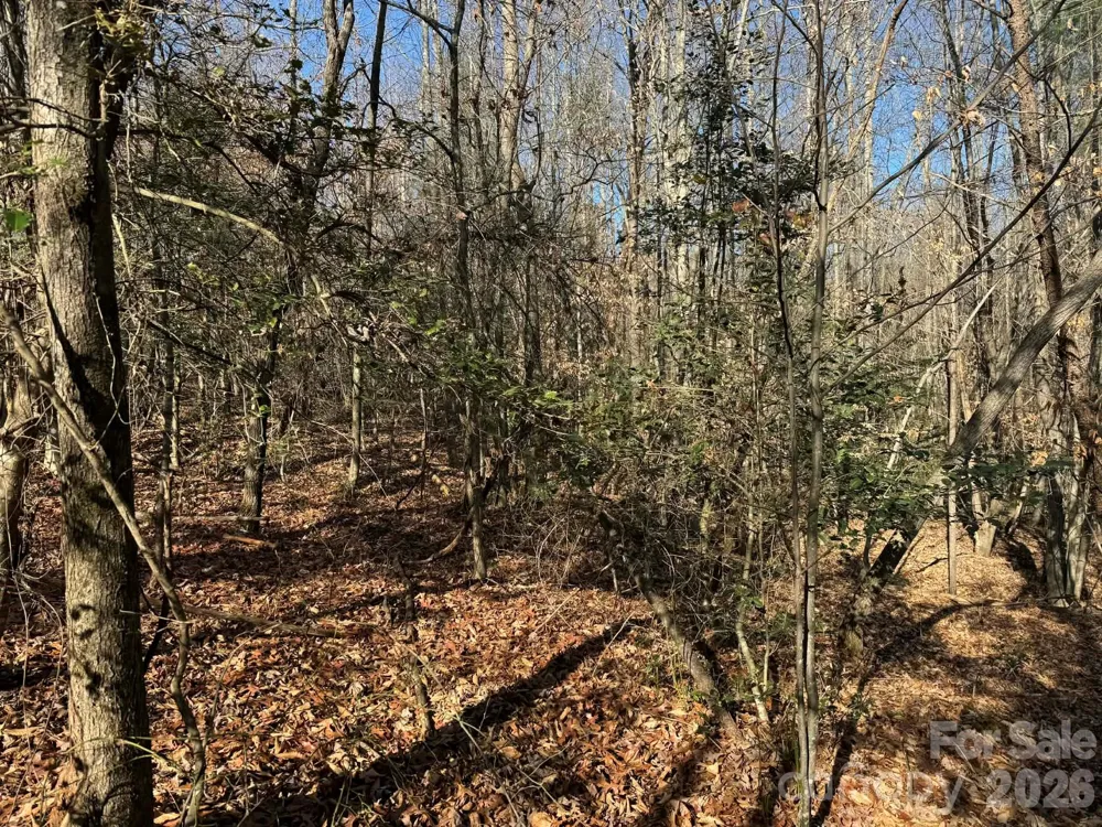 002 Rock Creek Church Road North Wilkesboro, NC 28659