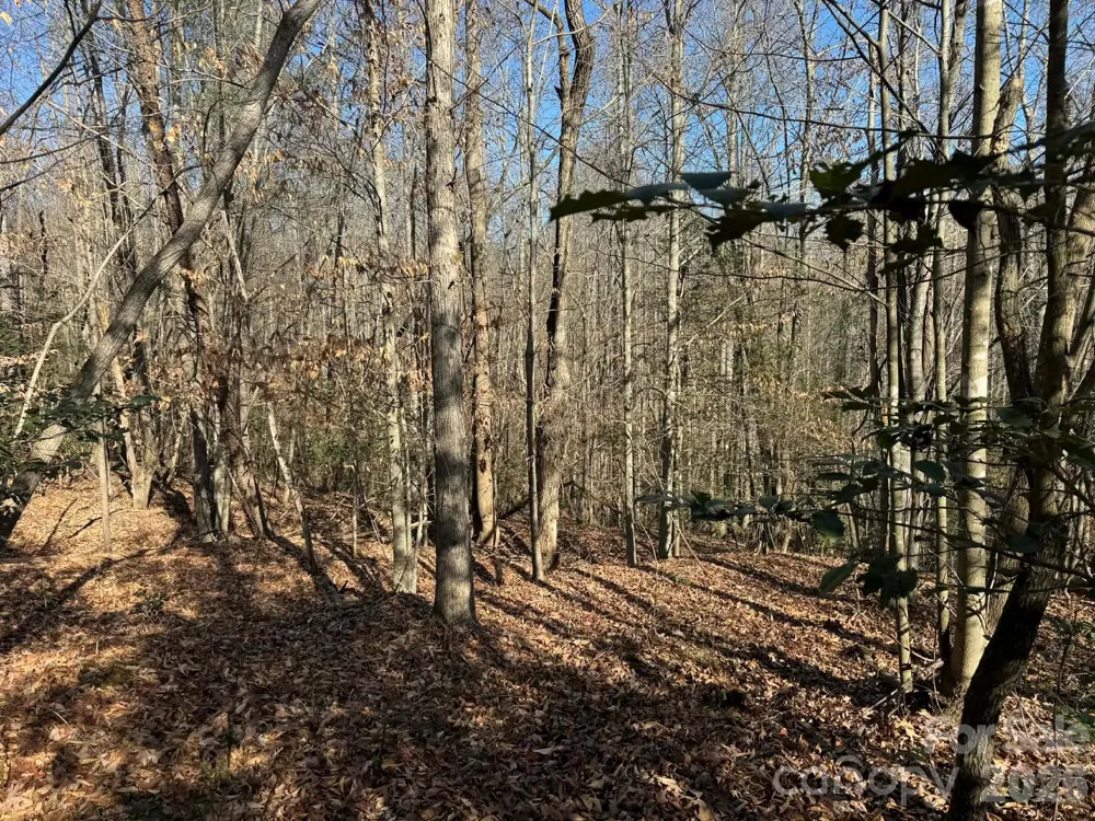 002 Rock Creek Church Road North Wilkesboro, NC 28659