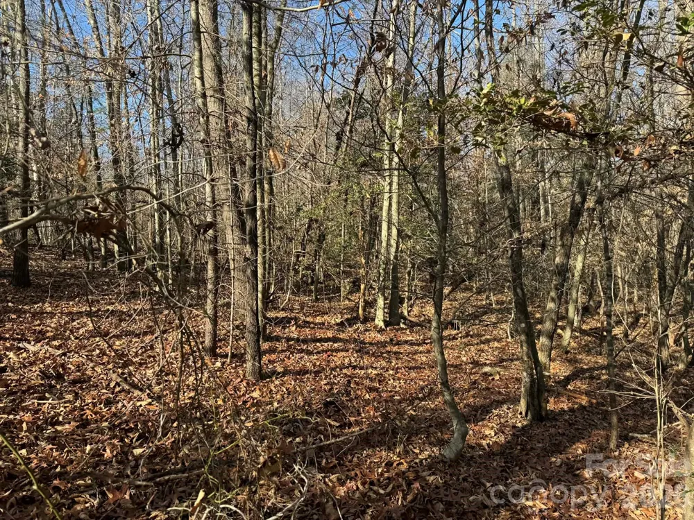 002 Rock Creek Church Road North Wilkesboro, NC 28659