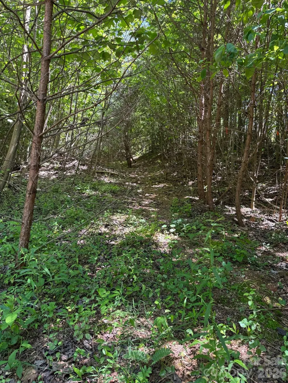 Lot 54 Billings Hill Church Road Traphill, NC 28683