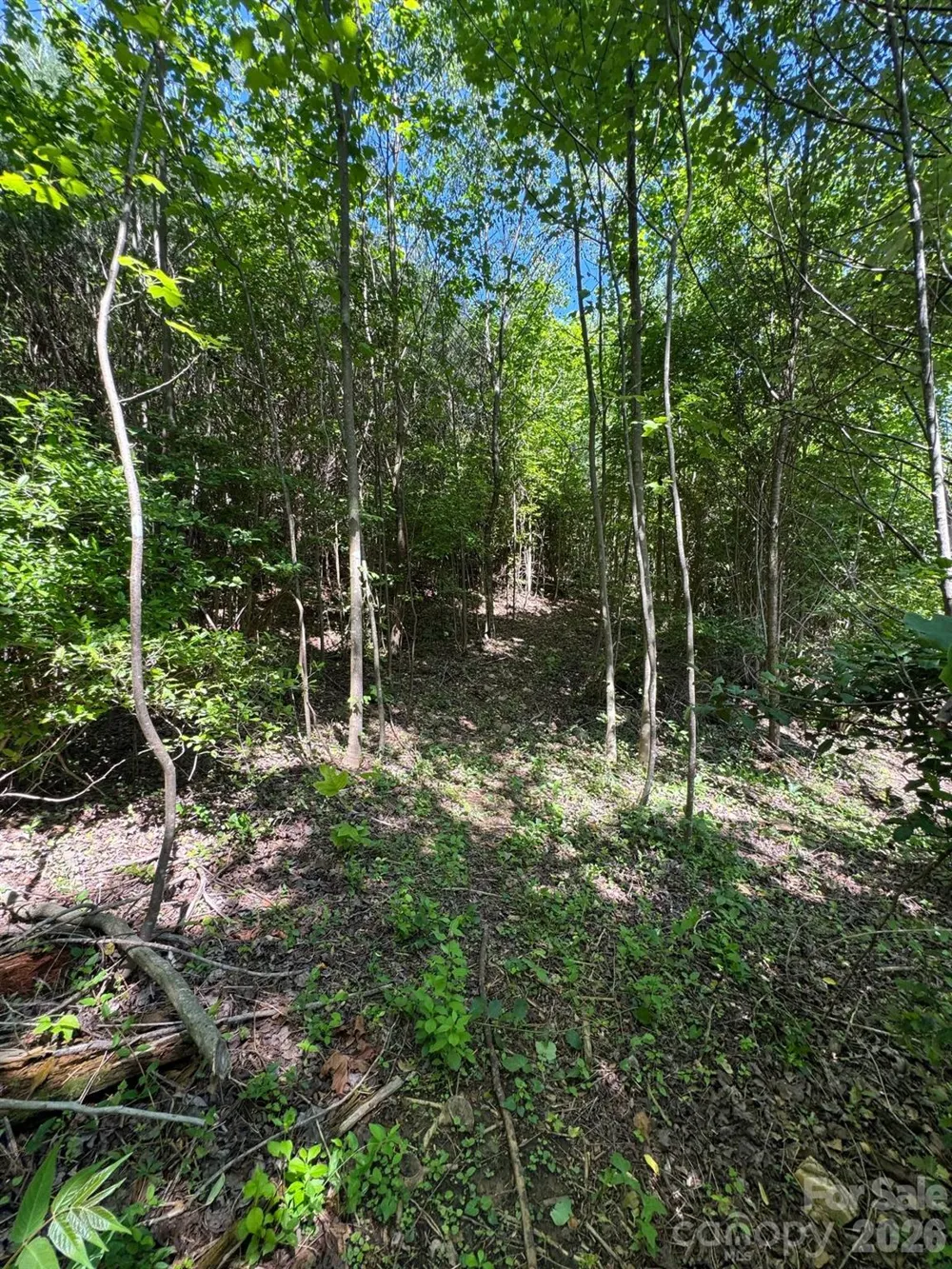 Lot 54 Billings Hill Church Road Traphill, NC 28683