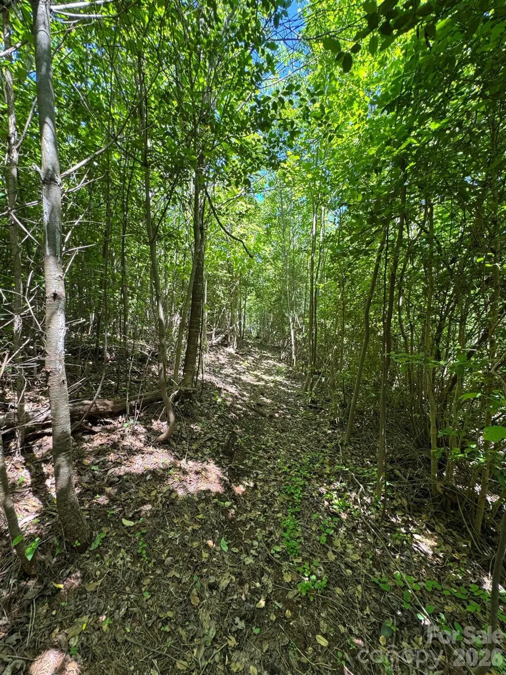 Lot 54 Billings Hill Church Road Traphill, NC 28683