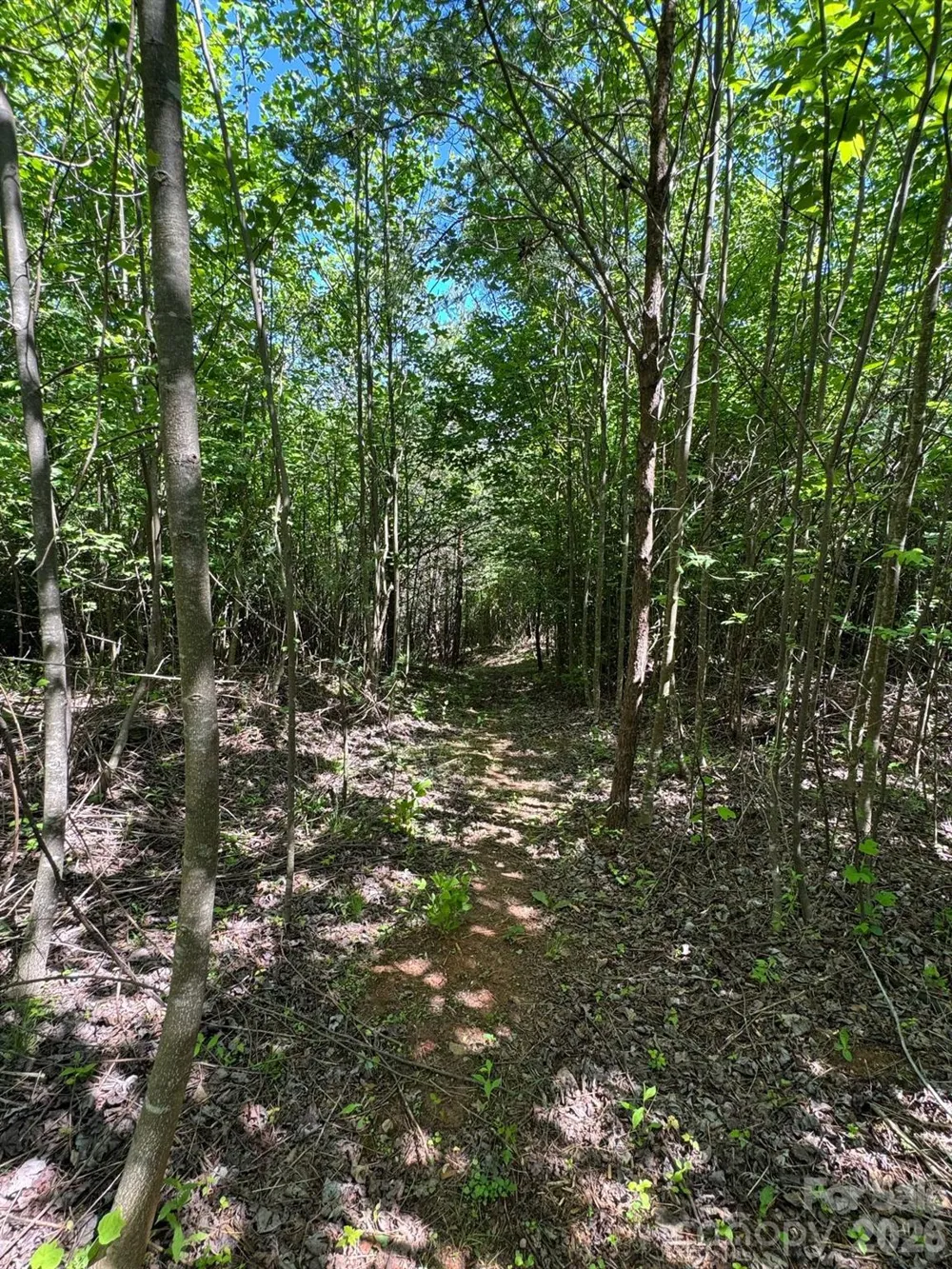 Lot 54 Billings Hill Church Road Traphill, NC 28683
