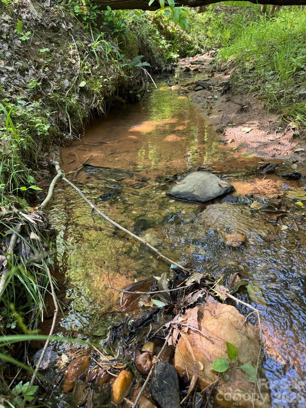 Lot 54 Billings Hill Church Road Traphill, NC 28683
