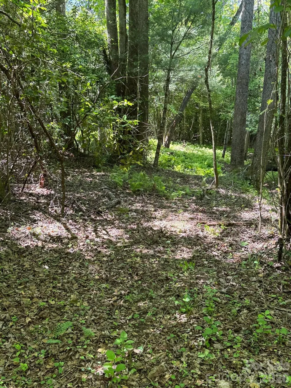 Lot 54 Billings Hill Church Road Traphill, NC 28683
