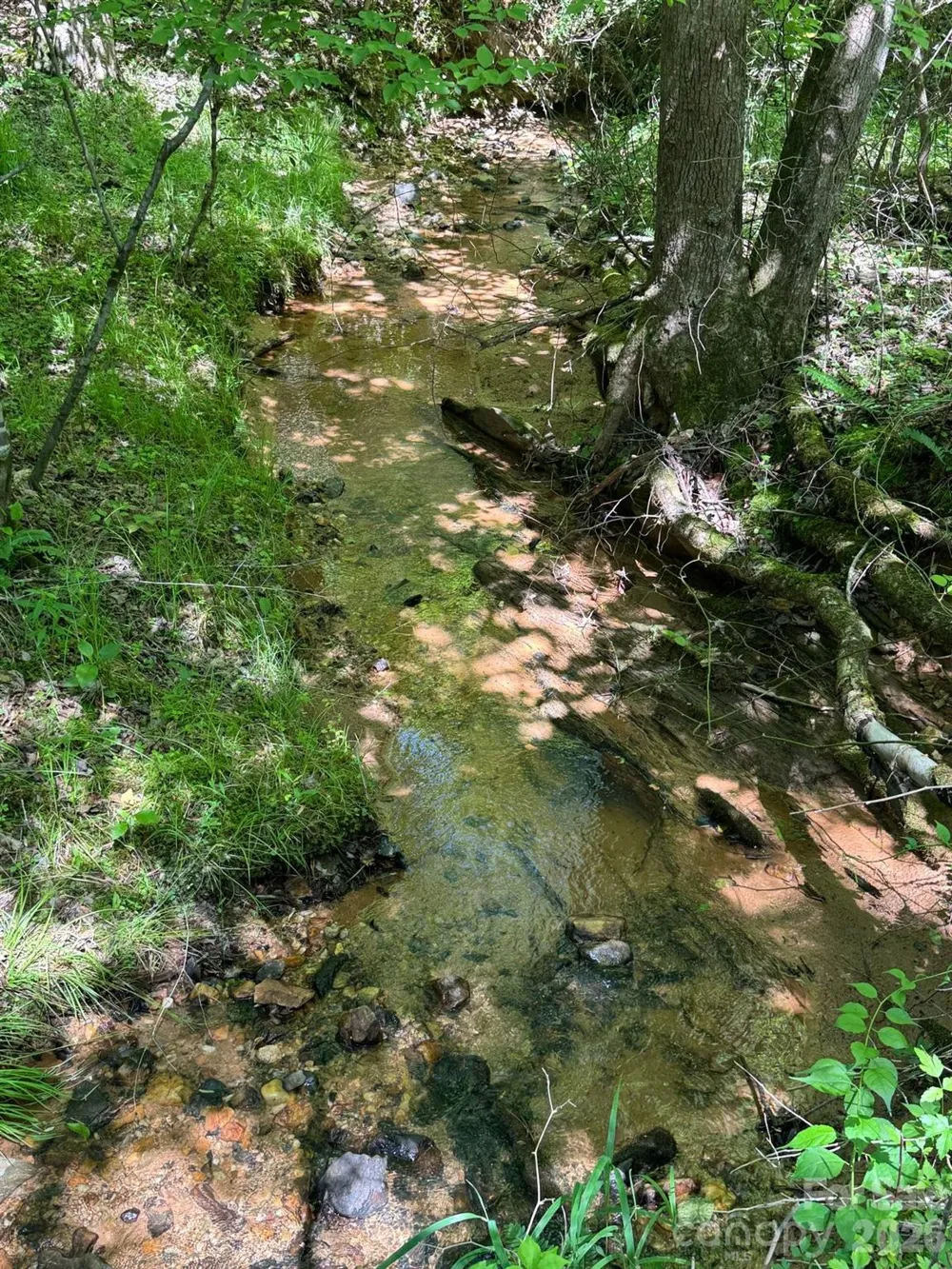 Lot 54 Billings Hill Church Road Traphill, NC 28683