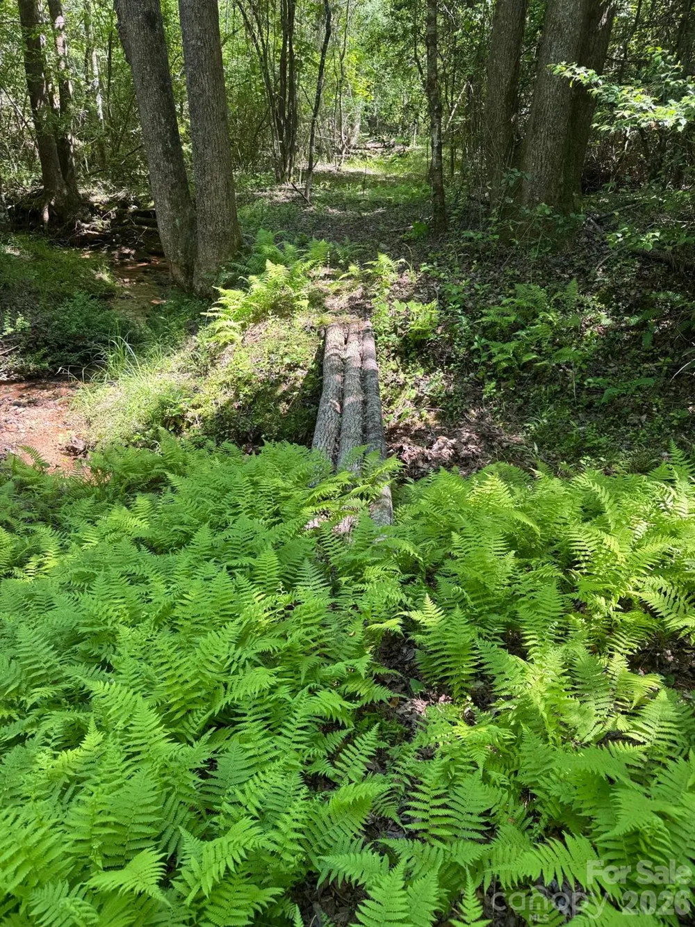 Lot 54 Billings Hill Church Road Traphill, NC 28683