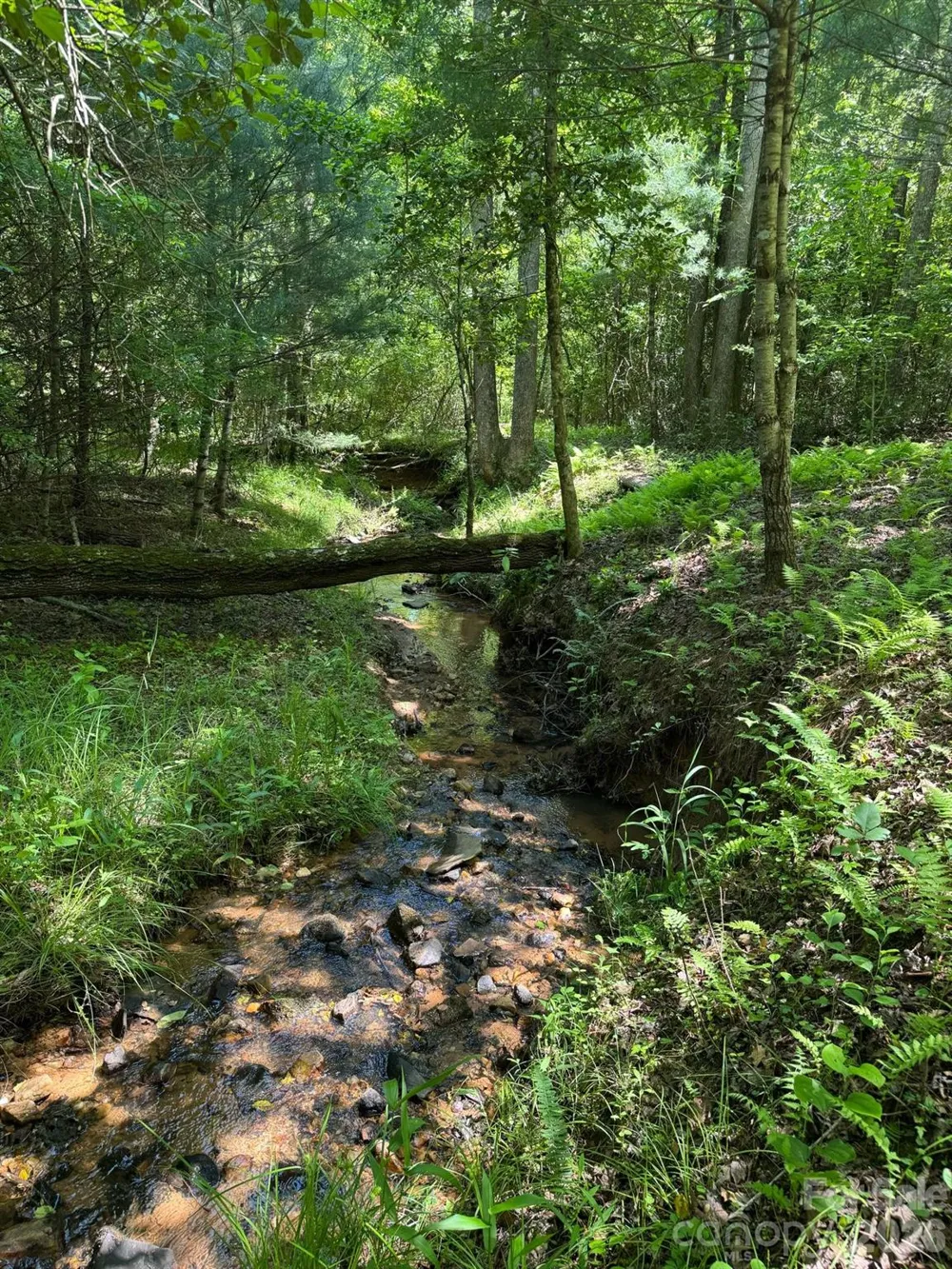 Lot 54 Billings Hill Church Road Traphill, NC 28683