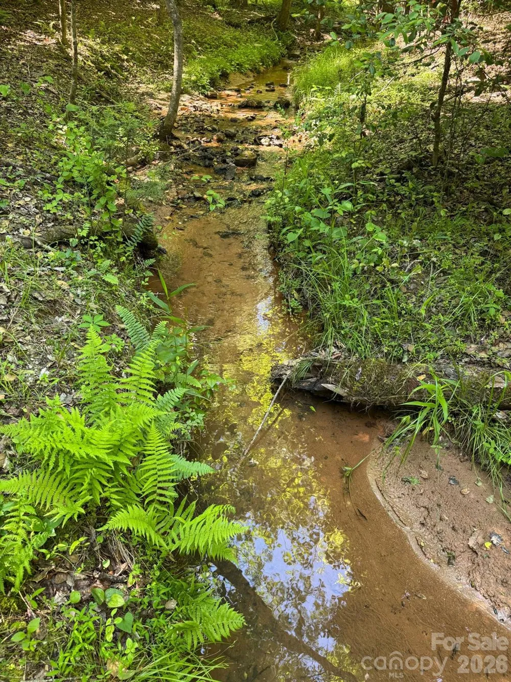 Lot 54 Billings Hill Church Road Traphill, NC 28683