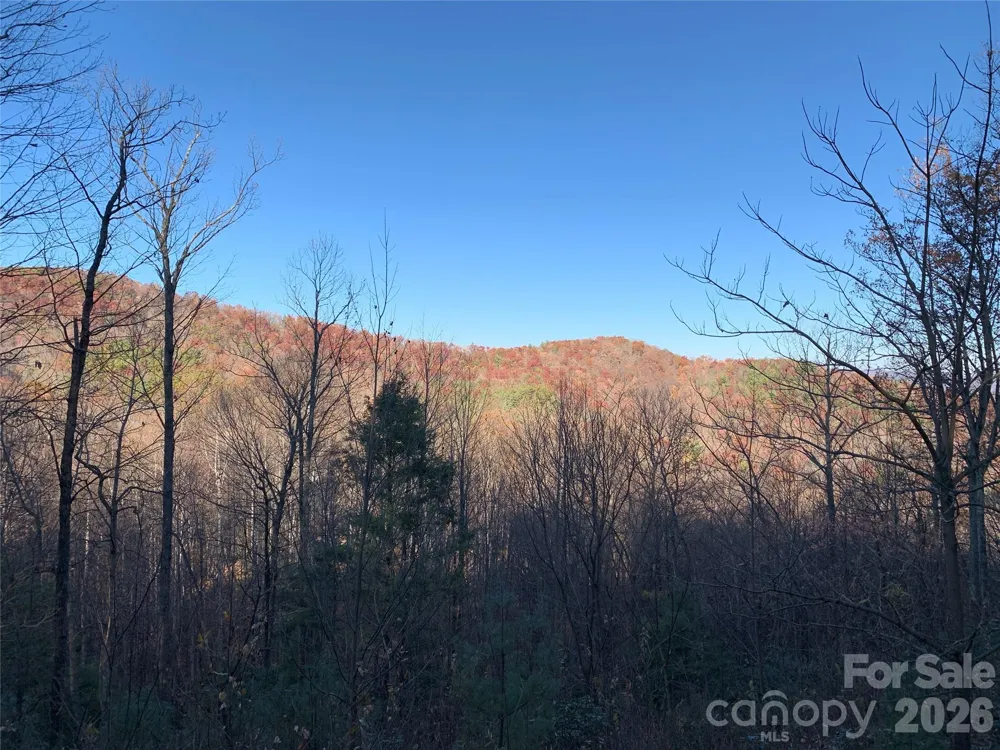 TBD (Lot 19) Wolf Den Lane #19 Lenoir, NC 28645