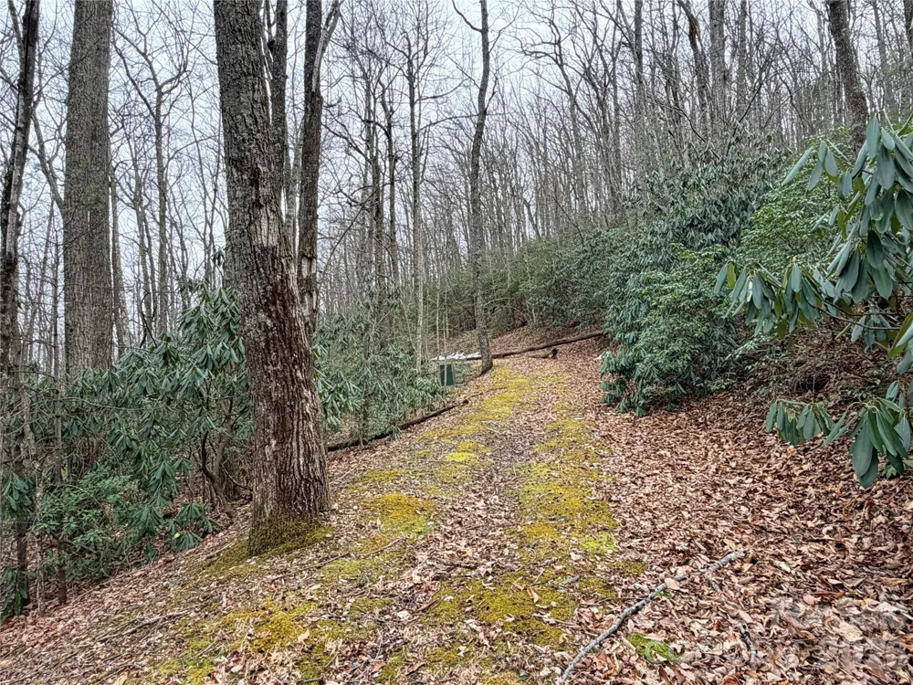 TBD (Lot 19) Wolf Den Lane #19 Lenoir, NC 28645