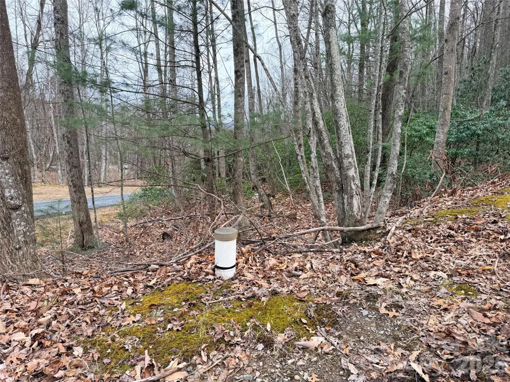 TBD (Lot 19) Wolf Den Lane #19 Lenoir, NC 28645