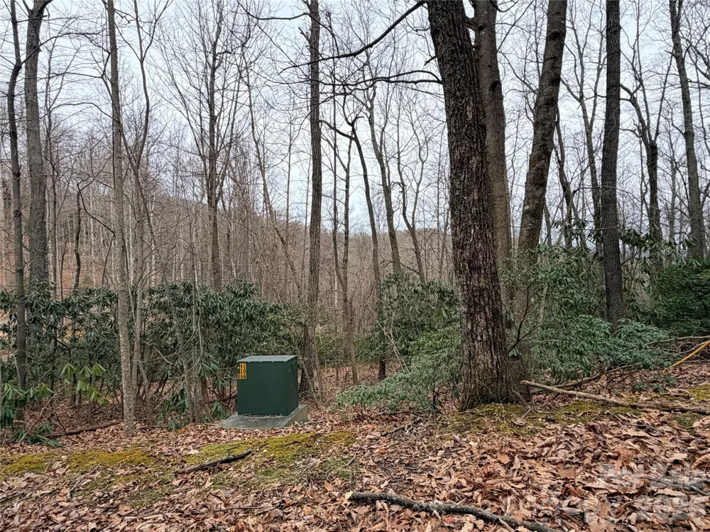 TBD (Lot 19) Wolf Den Lane #19 Lenoir, NC 28645