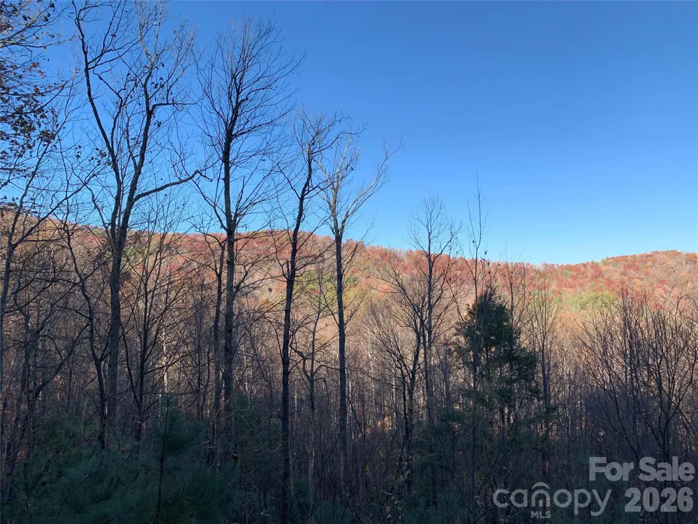 TBD (Lot 19) Wolf Den Lane #19 Lenoir, NC 28645