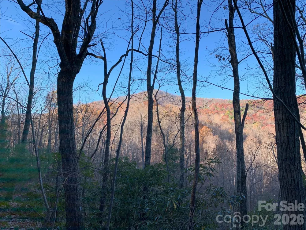 TBD (Lot 19) Wolf Den Lane #19 Lenoir, NC 28645