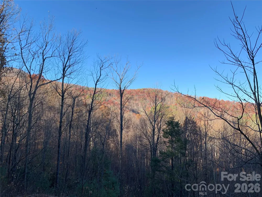 TBD (Lot 19) Wolf Den Lane #19 Lenoir, NC 28645