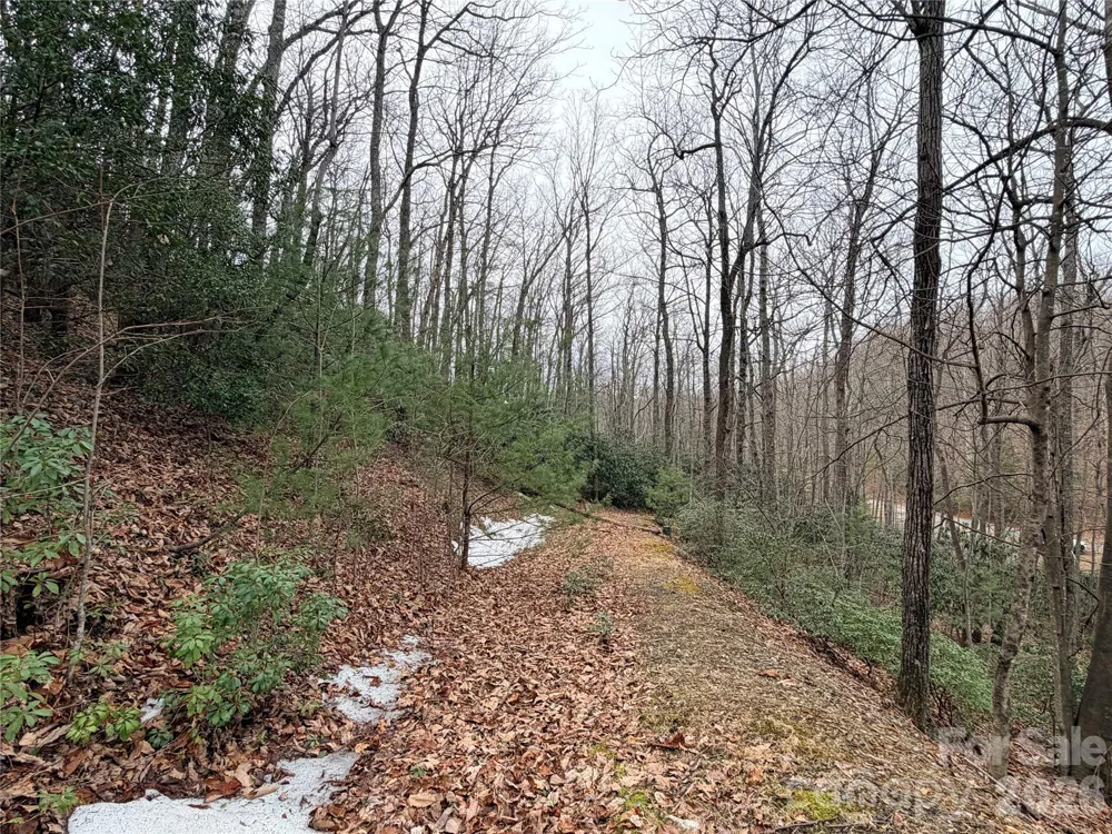 TBD (Lot 19) Wolf Den Lane #19 Lenoir, NC 28645
