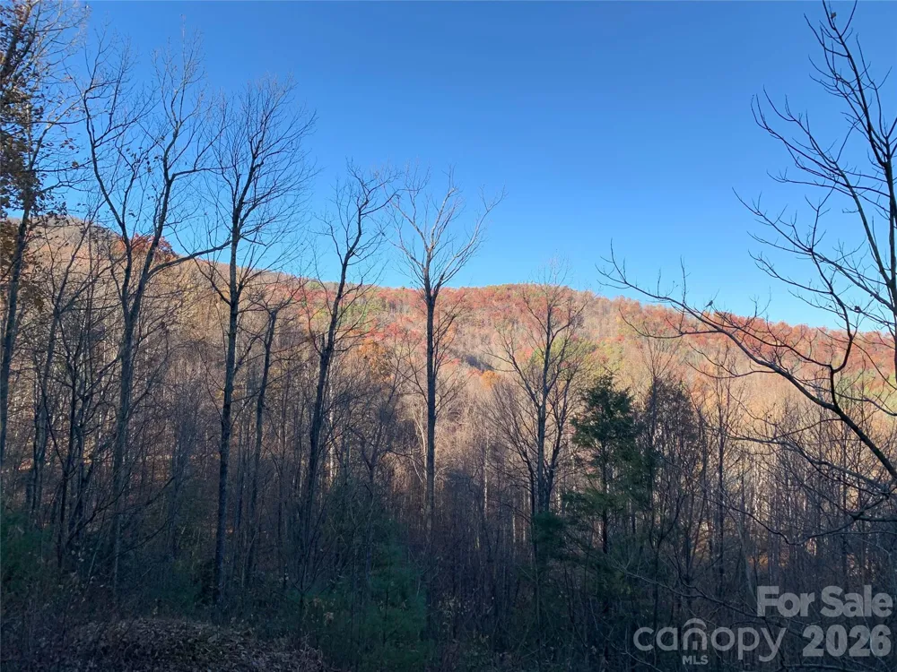 TBD (Lot 19) Wolf Den Lane #19 Lenoir, NC 28645