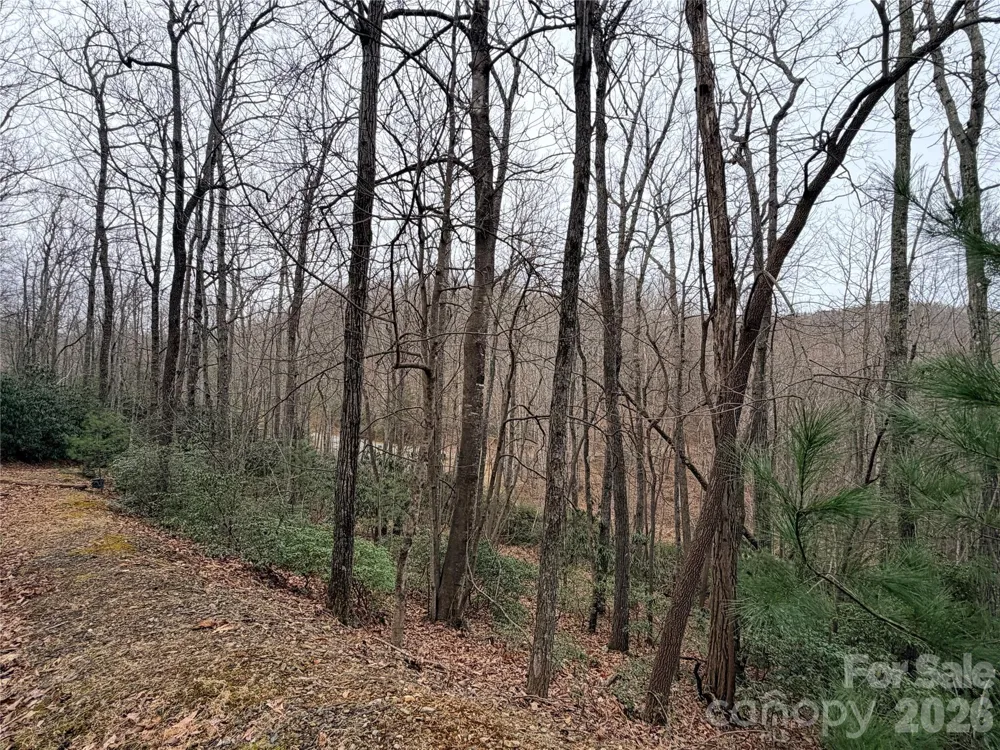 TBD (Lot 19) Wolf Den Lane #19 Lenoir, NC 28645