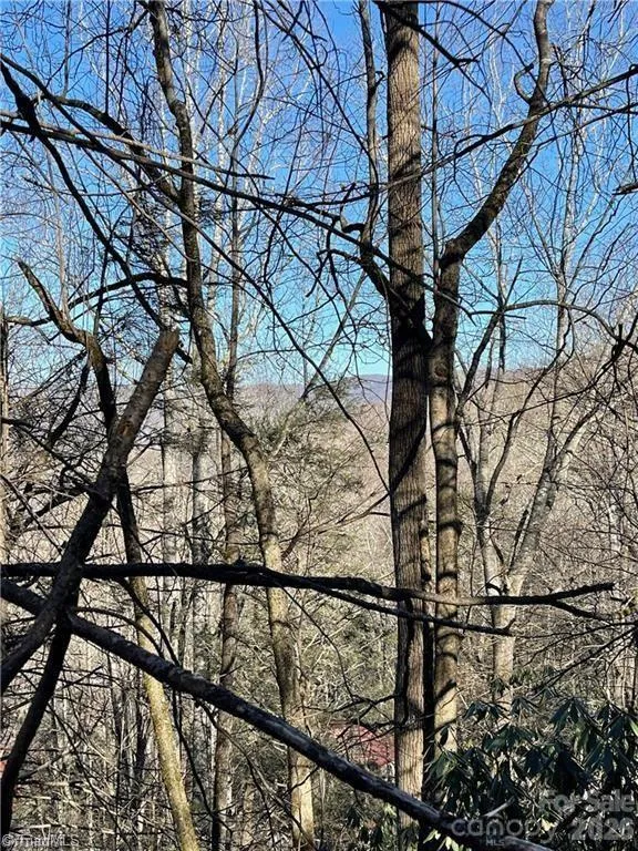 Lot E-15 Laurel Ridge Road Banner Elk, NC 28604