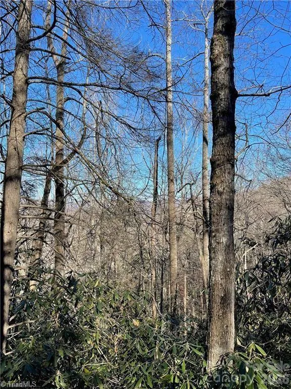Lot E-15 Laurel Ridge Road Banner Elk, NC 28604