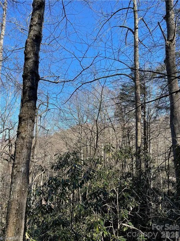 Lot E-15 Laurel Ridge Road Banner Elk, NC 28604