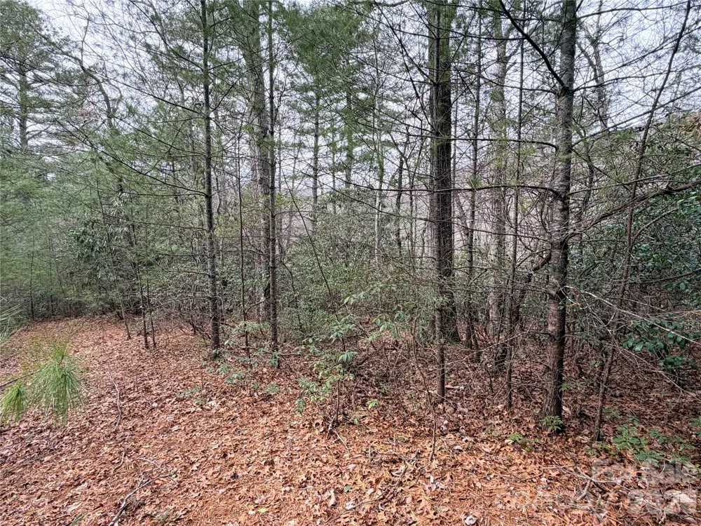TBD (Lot 4) Wolf Den Lane #4 Lenoir, NC 28645