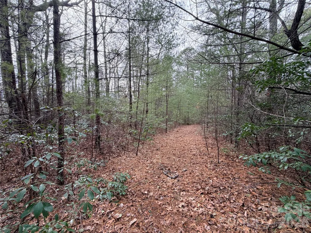 TBD (Lot 4) Wolf Den Lane #4 Lenoir, NC 28645