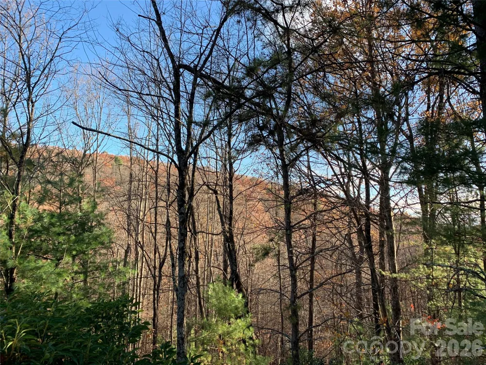 TBD (Lot 4) Wolf Den Lane #4 Lenoir, NC 28645