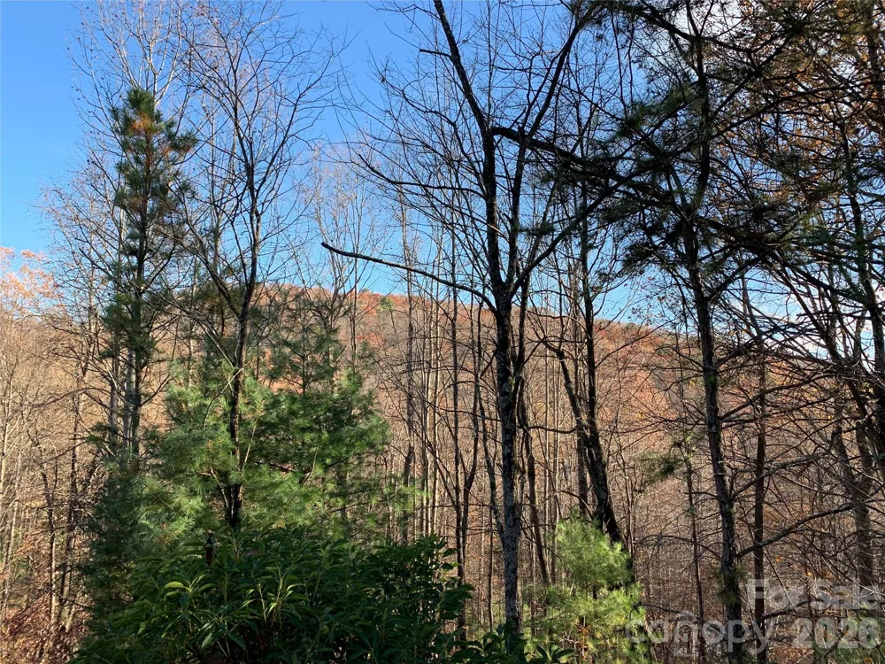 TBD (Lot 4) Wolf Den Lane #4 Lenoir, NC 28645