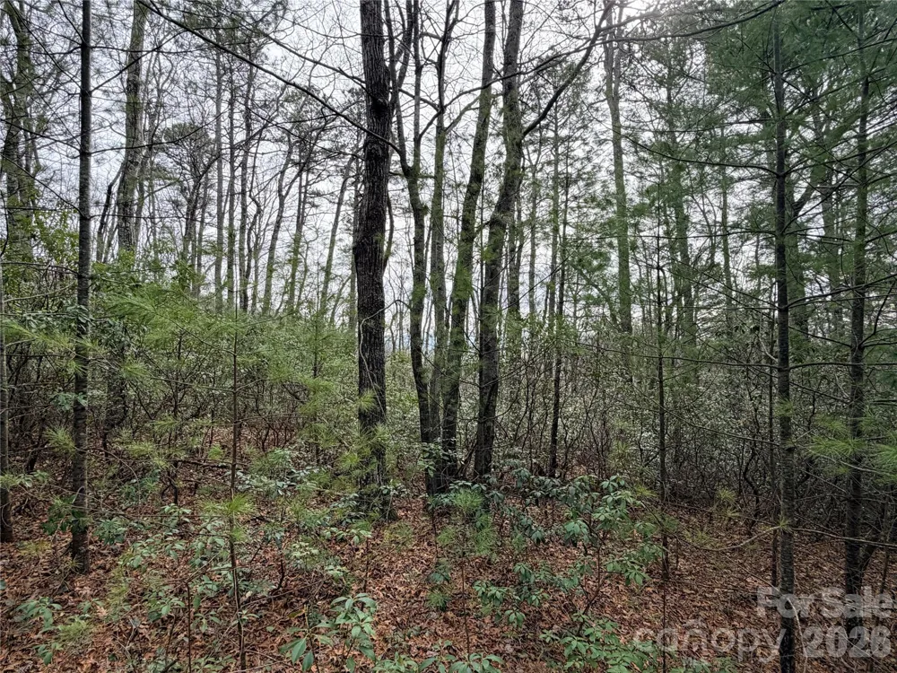 TBD (Lot 4) Wolf Den Lane #4 Lenoir, NC 28645