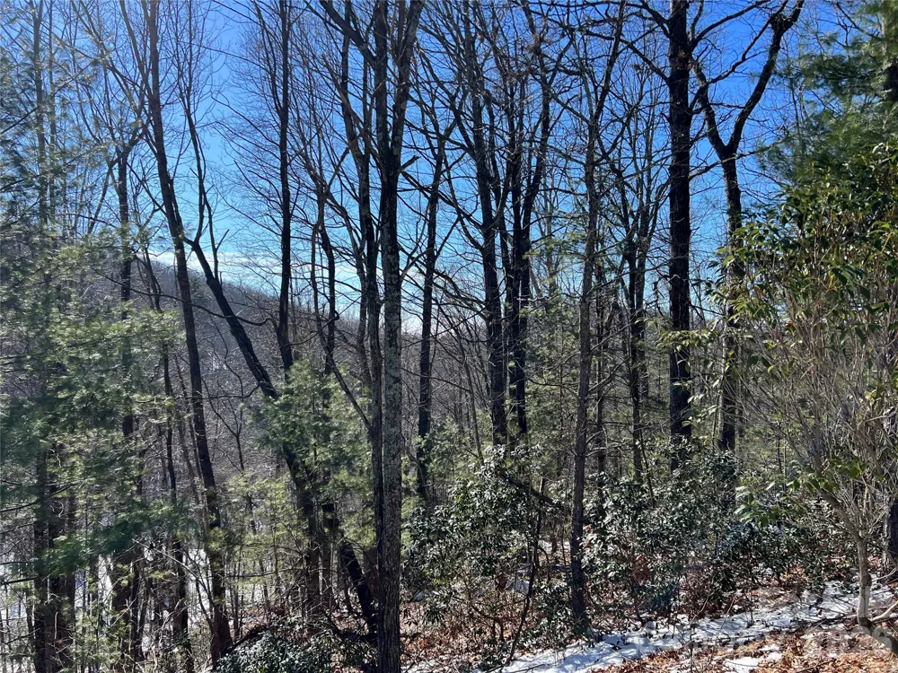 TBD (Lot 4) Wolf Den Lane #4 Lenoir, NC 28645