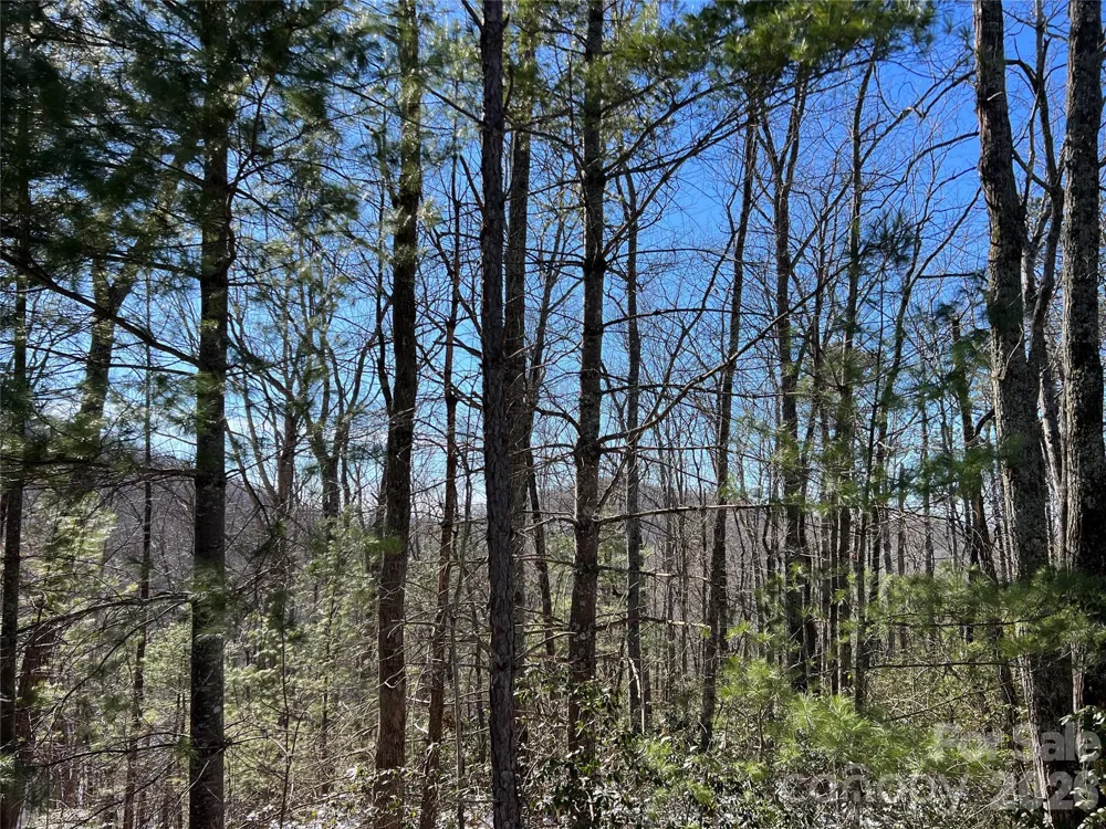 TBD (Lot 4) Wolf Den Lane #4 Lenoir, NC 28645