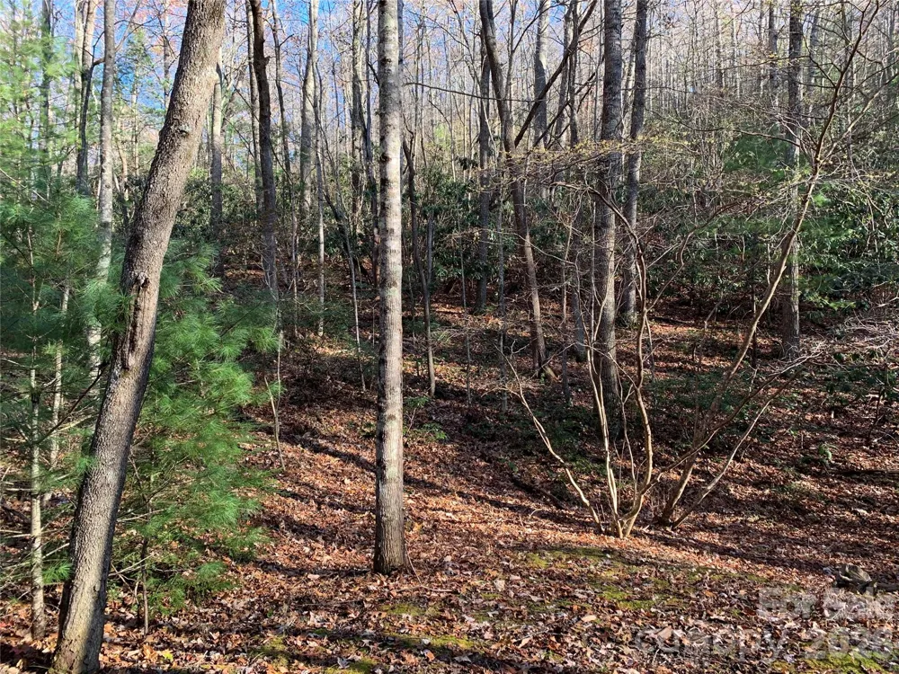 TBD (Lot 1) Dugger Firetower Road #1 Lenoir, NC 28645