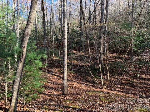 TBD (Lot 1) Dugger Firetower Road #1