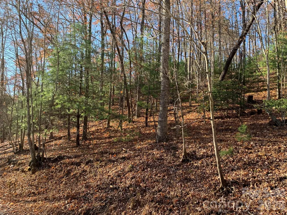 TBD (Lot 1) Dugger Firetower Road #1 Lenoir, NC 28645