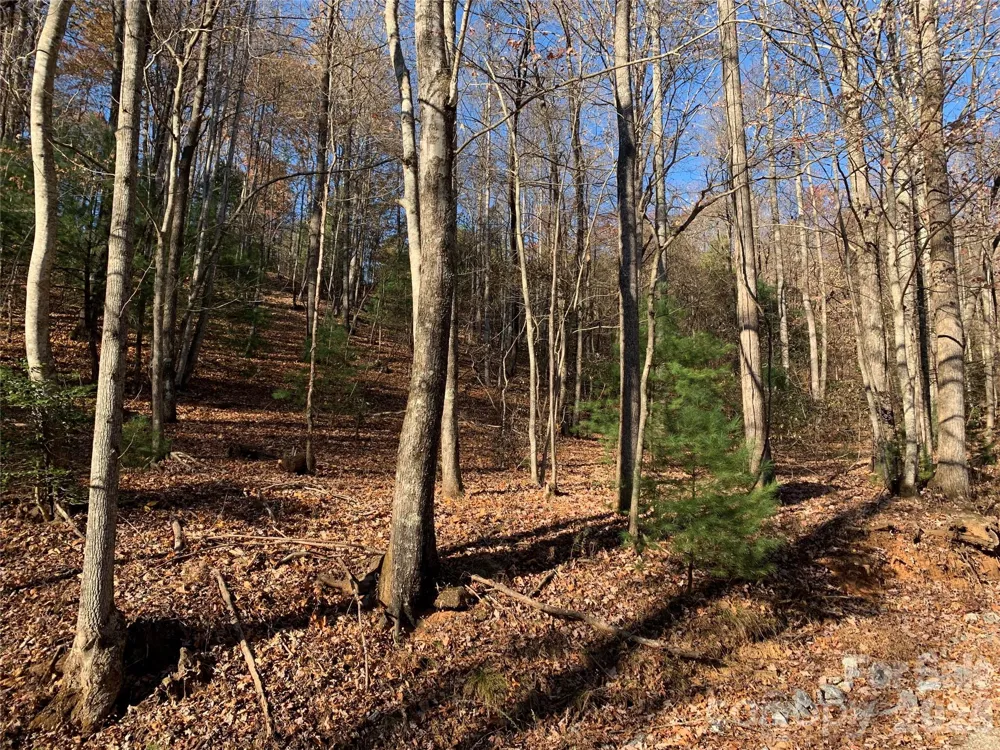 TBD (Lot 1) Dugger Firetower Road #1 Lenoir, NC 28645