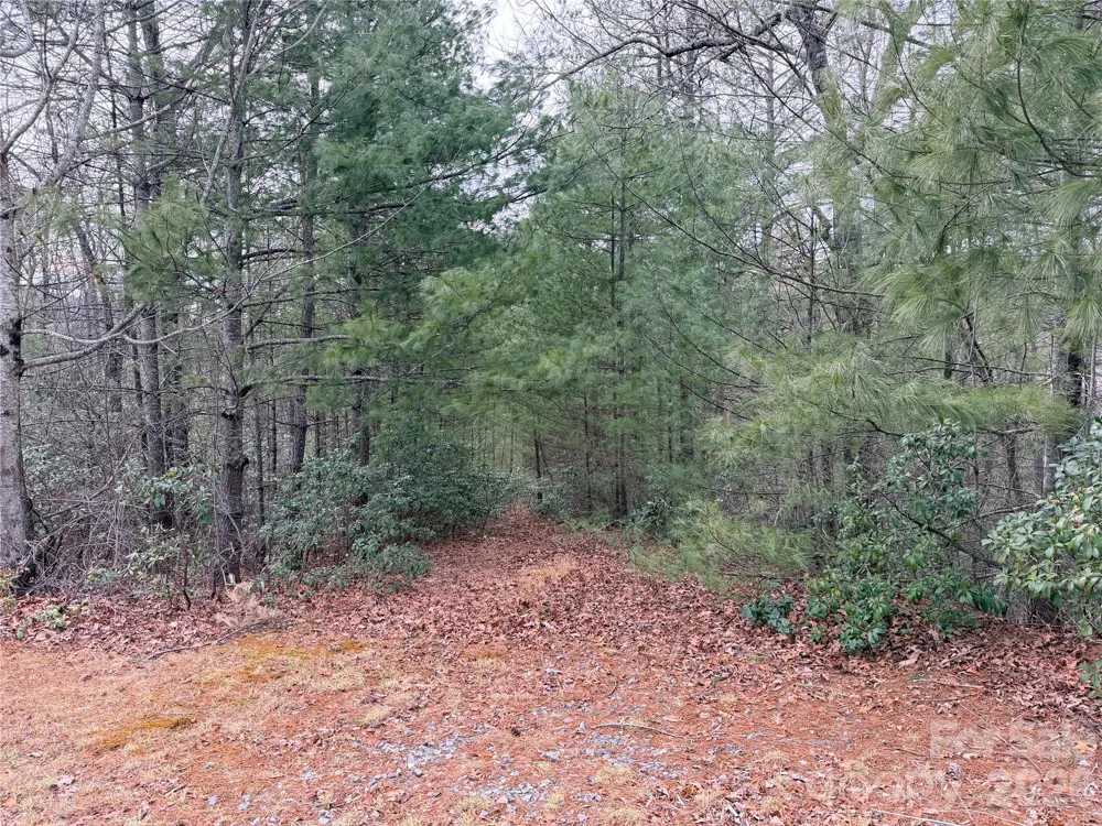 TBD (Lot 1) Dugger Firetower Road #1 Lenoir, NC 28645