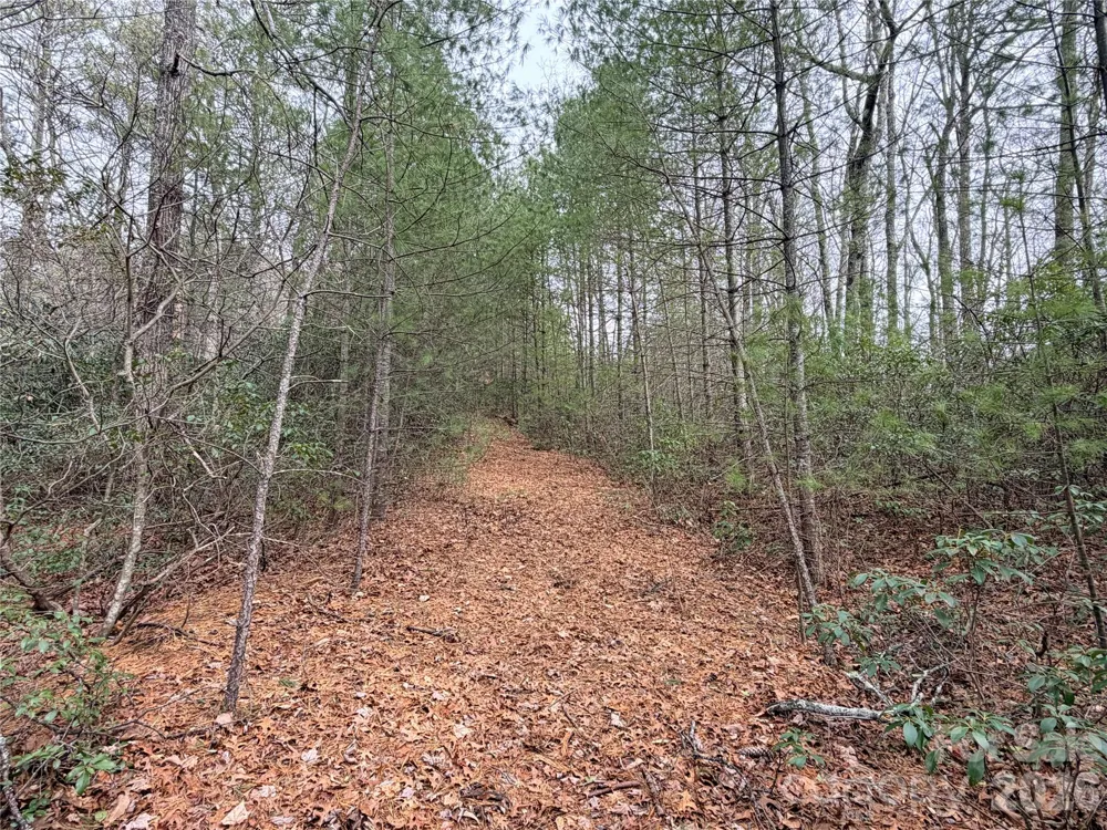 TBD (Lot 1) Dugger Firetower Road #1 Lenoir, NC 28645