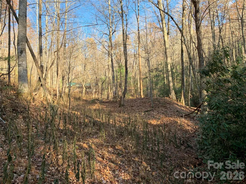 TBD (Lot 1) Dugger Firetower Road #1 Lenoir, NC 28645