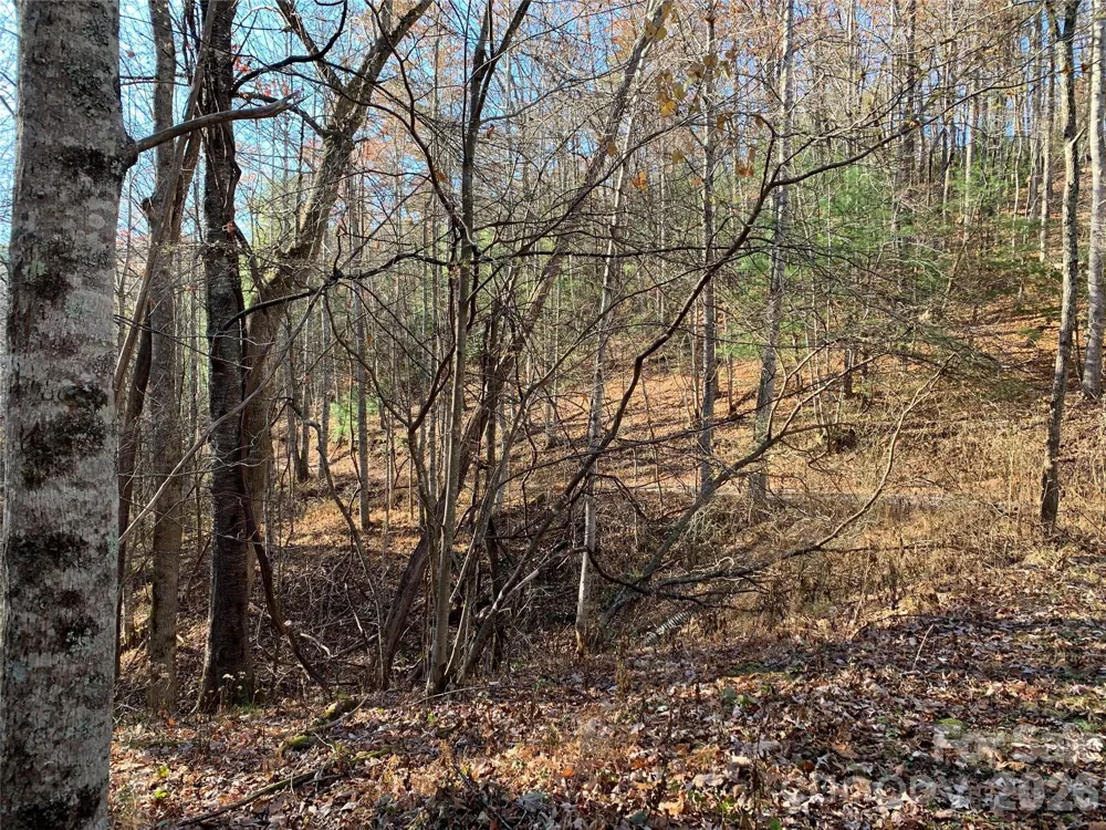 TBD (Lot 1) Dugger Firetower Road #1 Lenoir, NC 28645