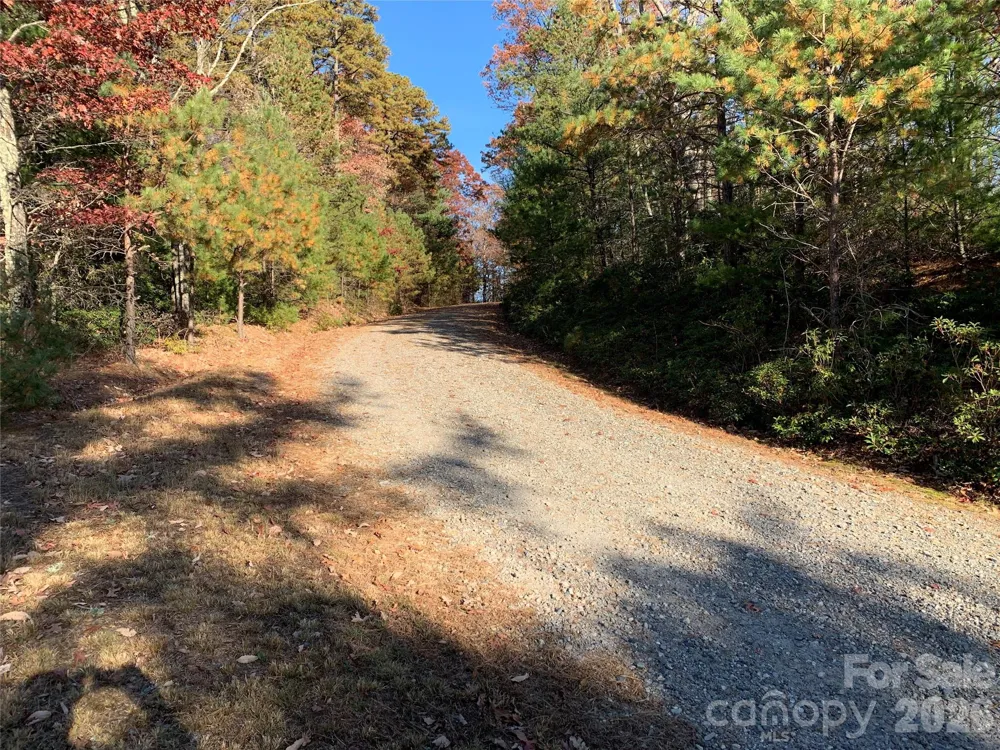 TBD (Lot 1) Dugger Firetower Road #1 Lenoir, NC 28645