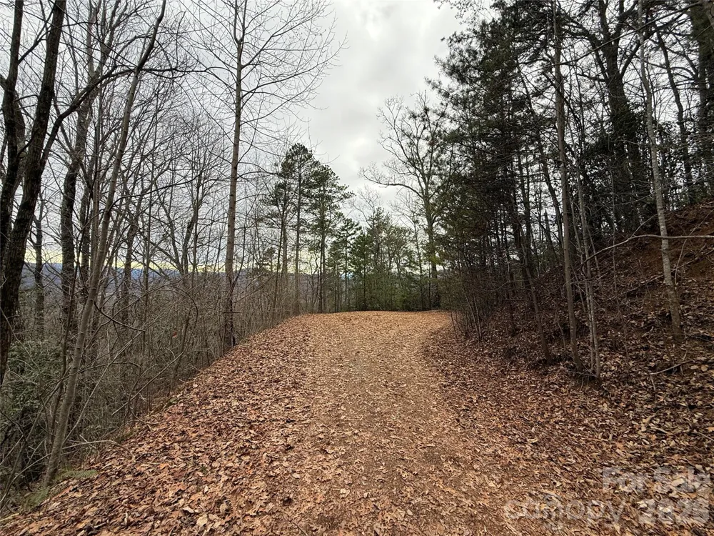 0 Betts Branch Road Bryson City, NC 28713