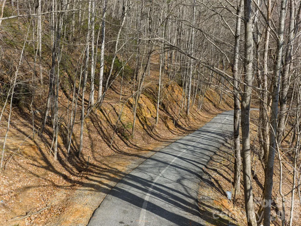 40 Cedar Drive Mills River, NC 28759
