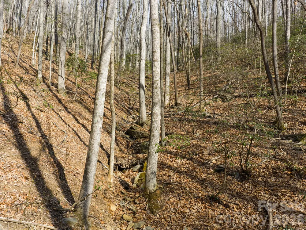 40 Cedar Drive Mills River, NC 28759