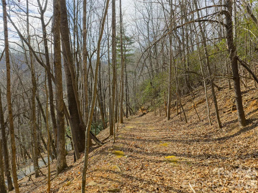 40 Cedar Drive Mills River, NC 28759